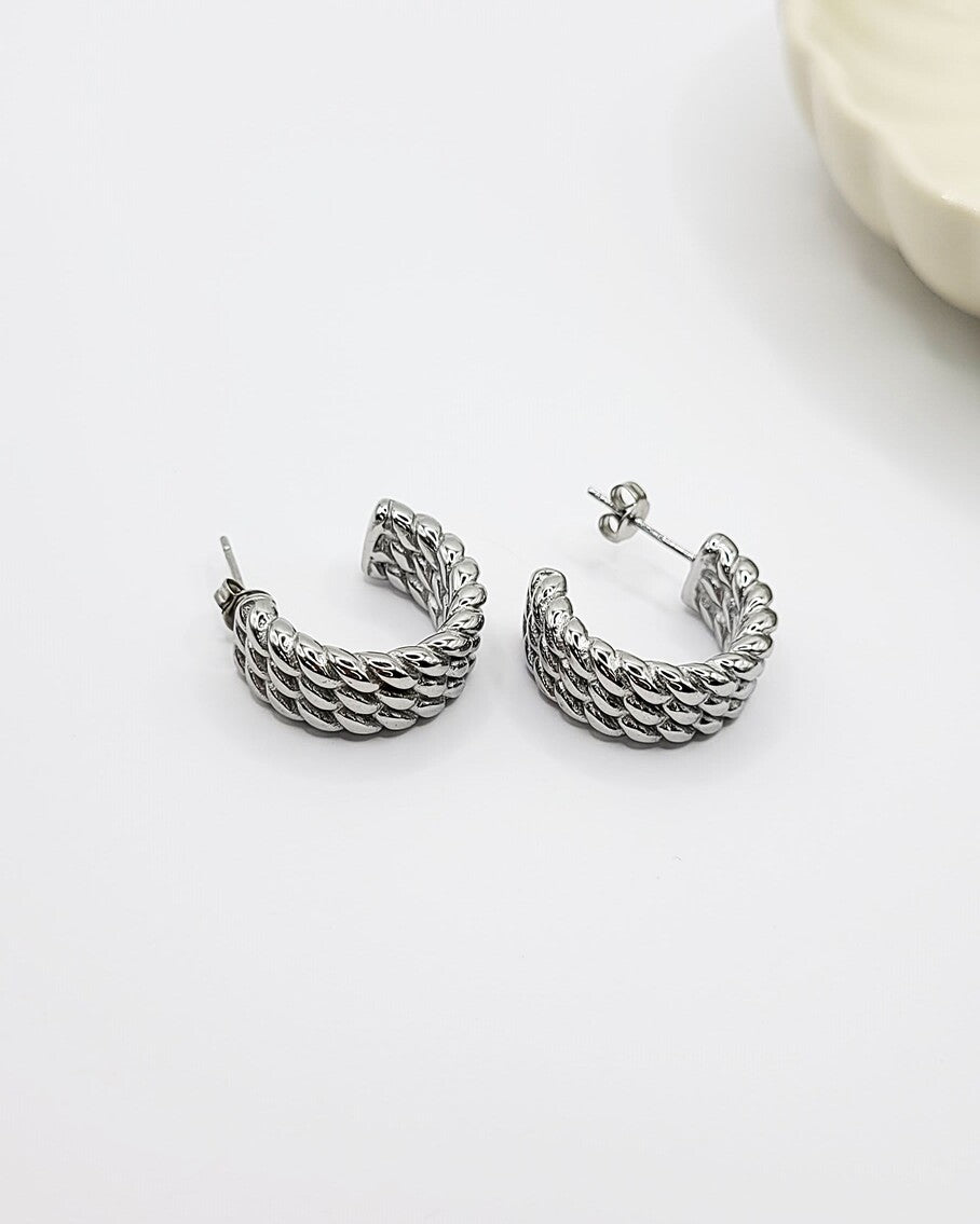 Sidabro spalvos pinto rašto auskarai