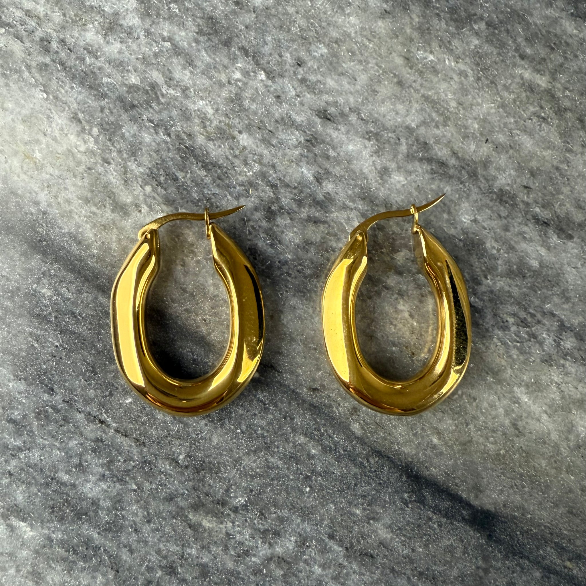 Auskarai - pailgos rinkutės