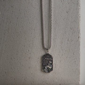 Sidabro spalvos 70cm kaklo papuošalas su vandenio zodiaku