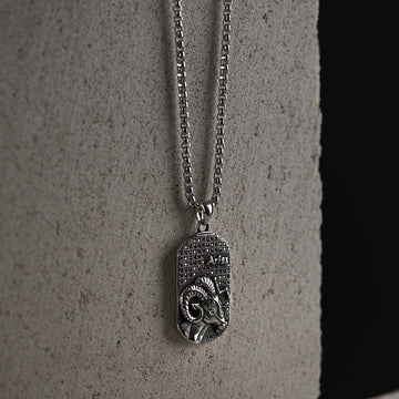 Sidabro spalvos 70cm kaklo papuošalas su avino zodiaku